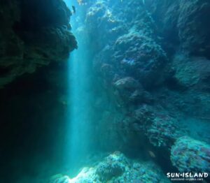 なるほどザ・ケーブ