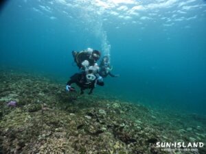 体験ダイビング