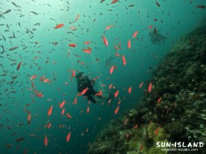 台風通過後、視界不良の伊良部島エリアのダイビングスポット・ポイントの様子