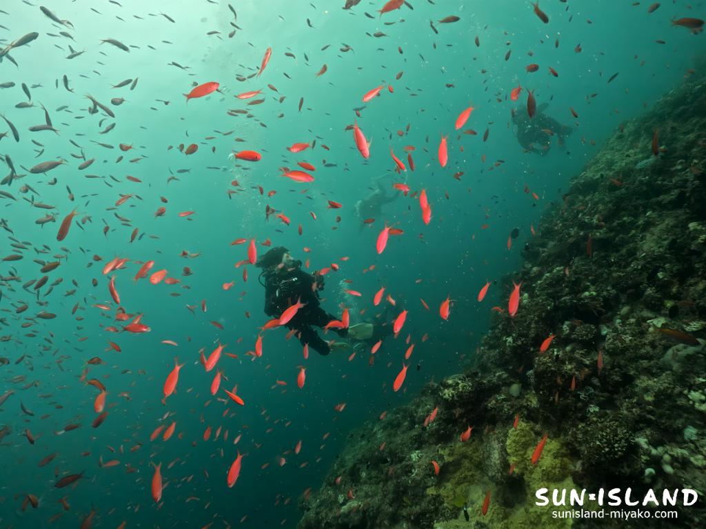 台風通過後、視界不良の伊良部島エリアのダイビングスポット・ポイントの様子