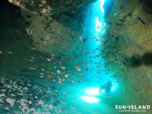 ミナミハタンポが舞う光差し込む下地島ダイビングスポット・ポイント『ムーンライトホール』