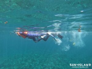 イーストコーラルでシュノーケリングをするゲストさん