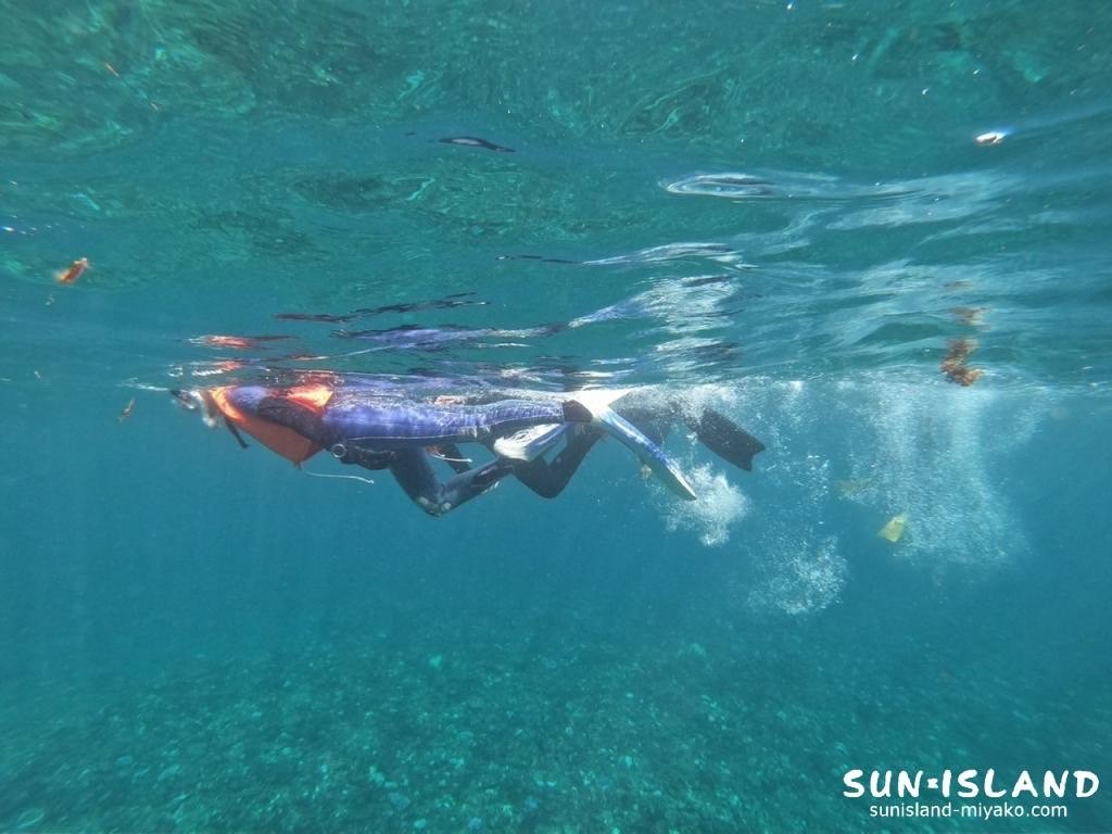 イーストコーラルでシュノーケリングをするゲストさん