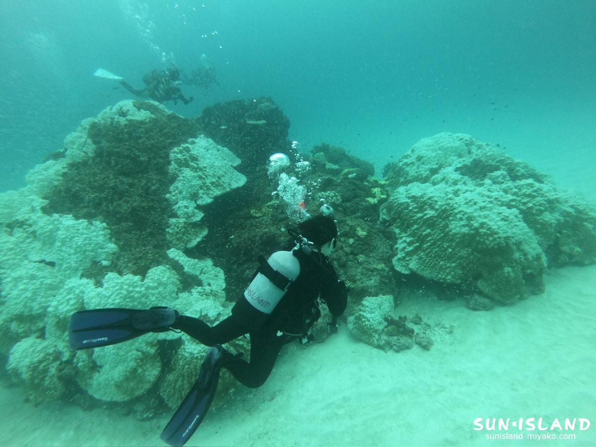 クリスタルパーク