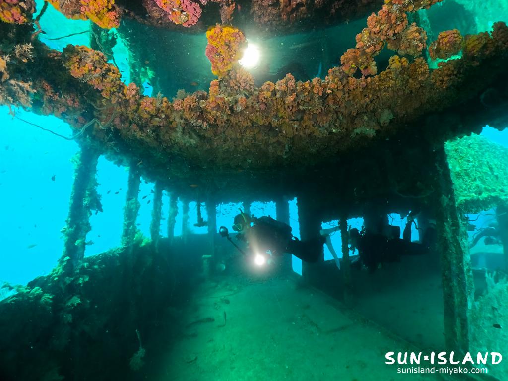 レックダイビングの様子