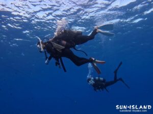 体験ダイビングの様子