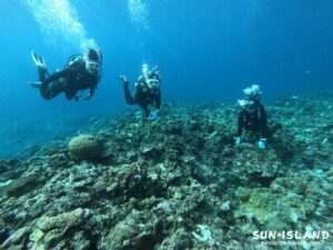 チェックダイブの様子