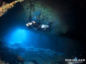 ダイビングスポット『牛さんこわいよ』