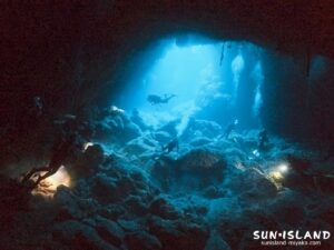 宮古島南岸エリアのメインでもあるダイビングスポット・ポイント『牛さん こわいよ』