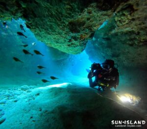 ムーンライトホール