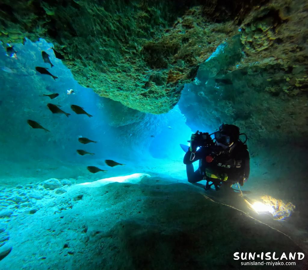 ムーンライトホール