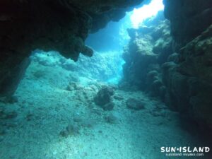 中の島チャネル