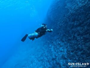 リピーターSさんのサイドマウントダイビングの様子