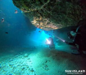 ムーンライトホール