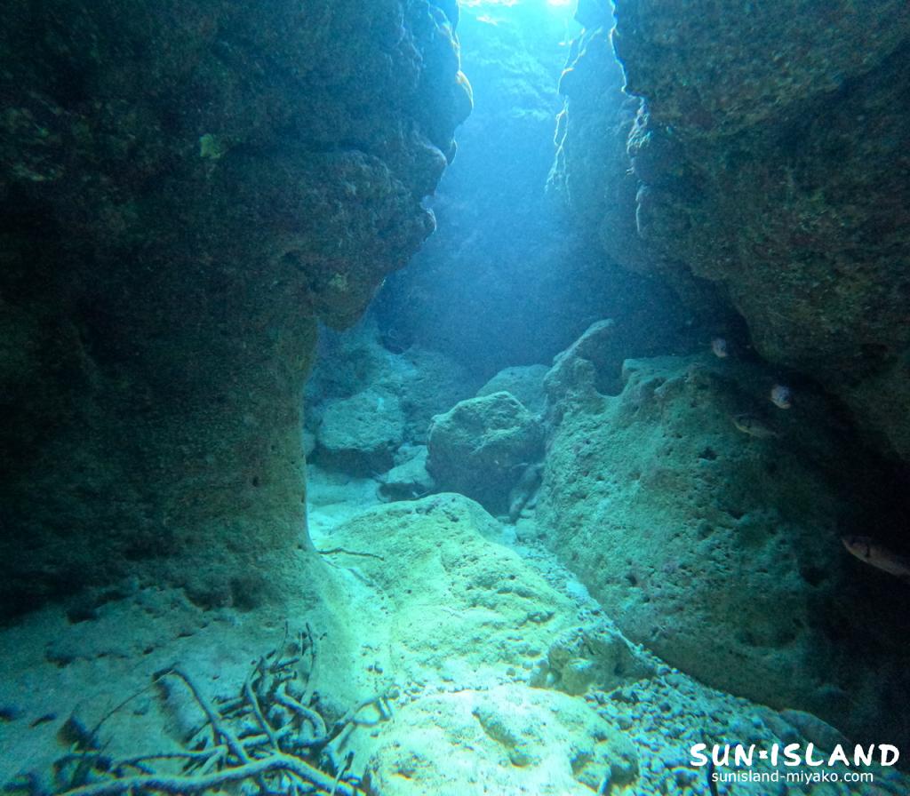 ムーンライトホール