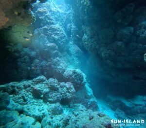 なるほどザ・ケーブ