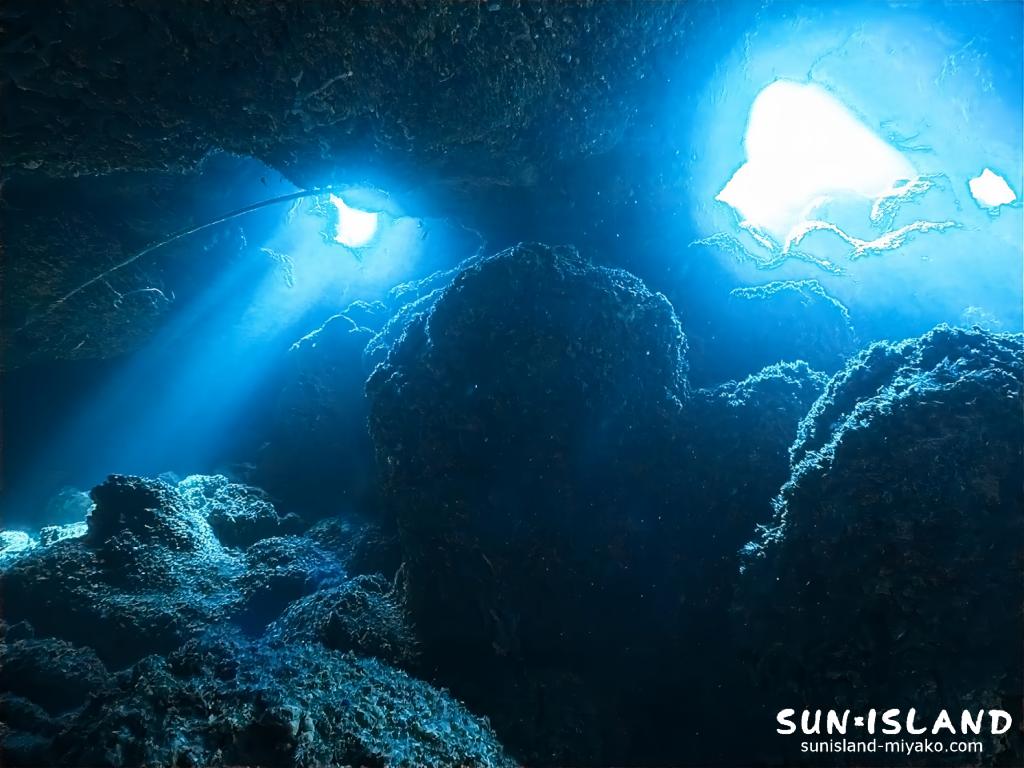 南岸エリア『牛さん こわいよ』のメインでもある大ホールの様子