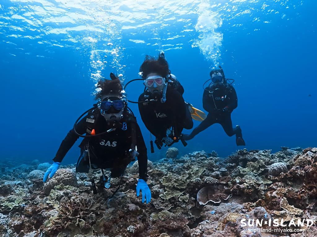 Mさんご家族の水中での様子