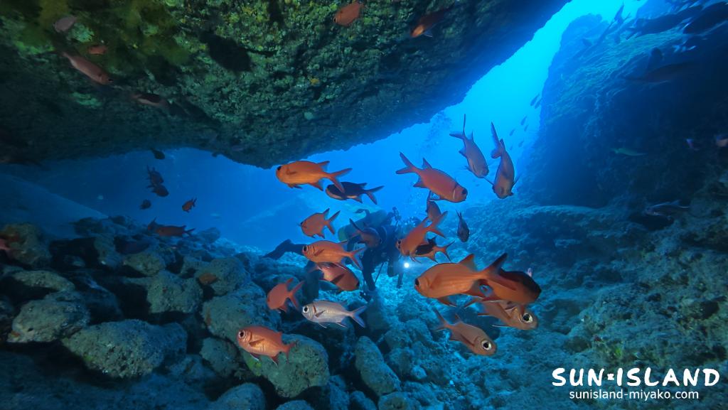 伊良部島ダイビングスポット『ワープホール』