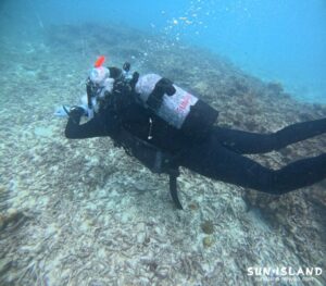 ナビゲーション