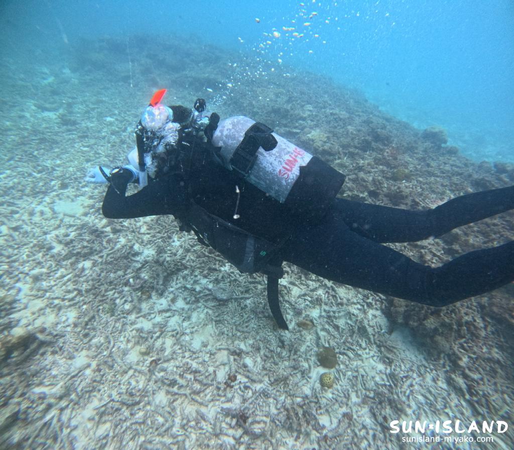 ナビゲーション