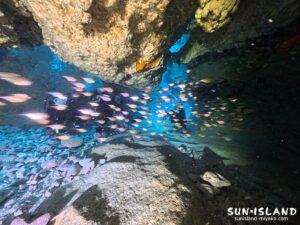 ムーンライトホール