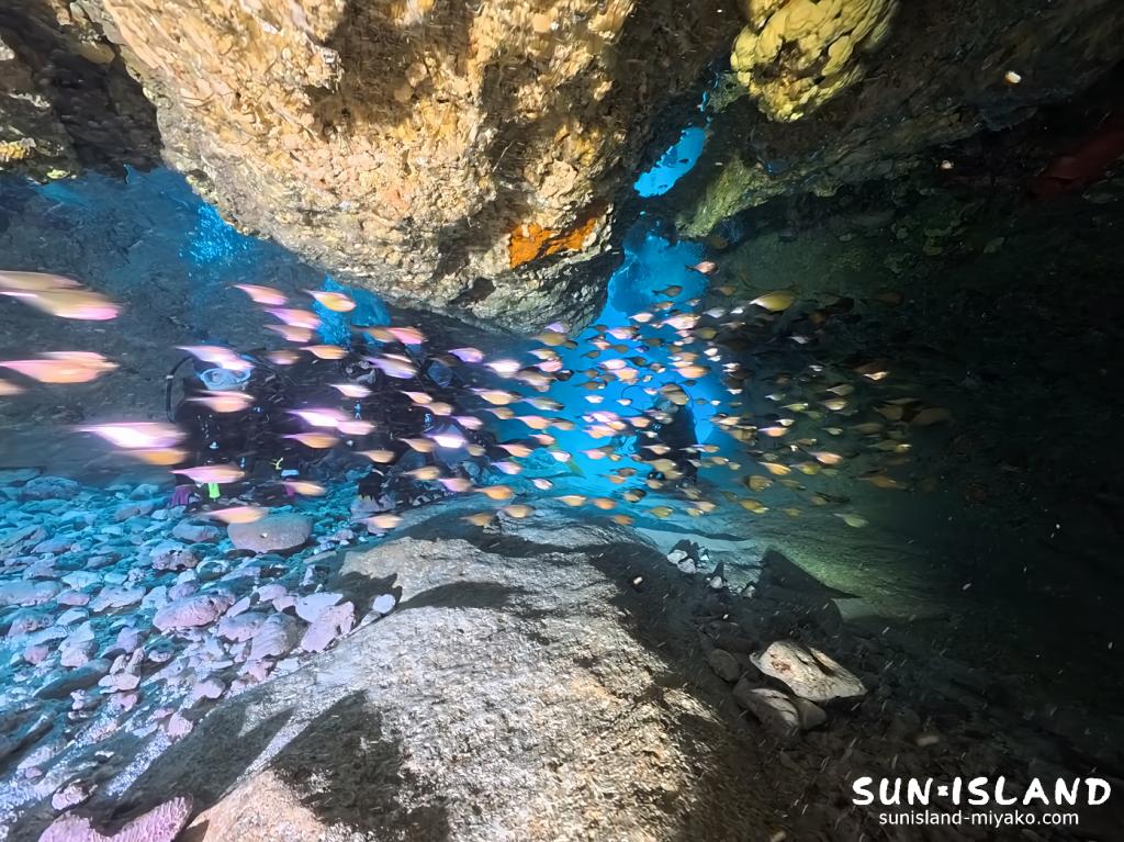 ムーンライトホール