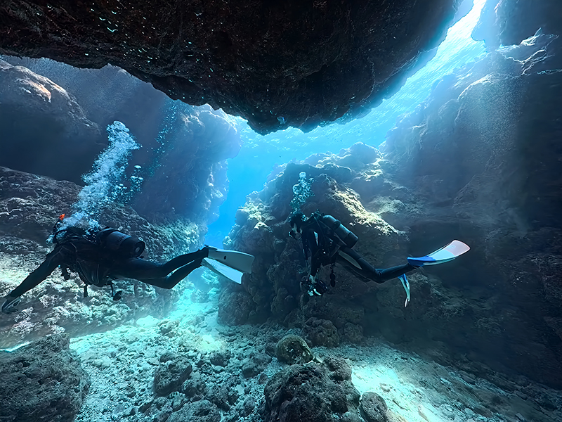 ダイビングスポットのご紹介