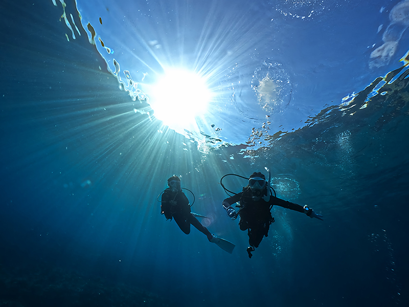 シーズン毎の見所