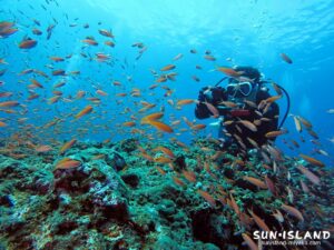 宮古島の水中世界を楽しむゲストダイバー