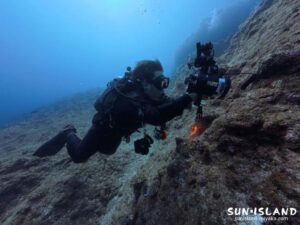 宮古島の海で水中撮影に没頭するフォトダイバー。マンツーマンガイドの様子