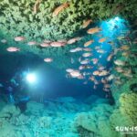 4月の宮古島ダイビング・水深10mのマリンレイクに差し込む力強い光のビーム