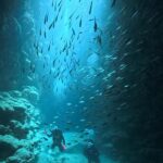 宮古島ダイビング 魔王の宮殿 縦穴 ハタンポ 水中ライト