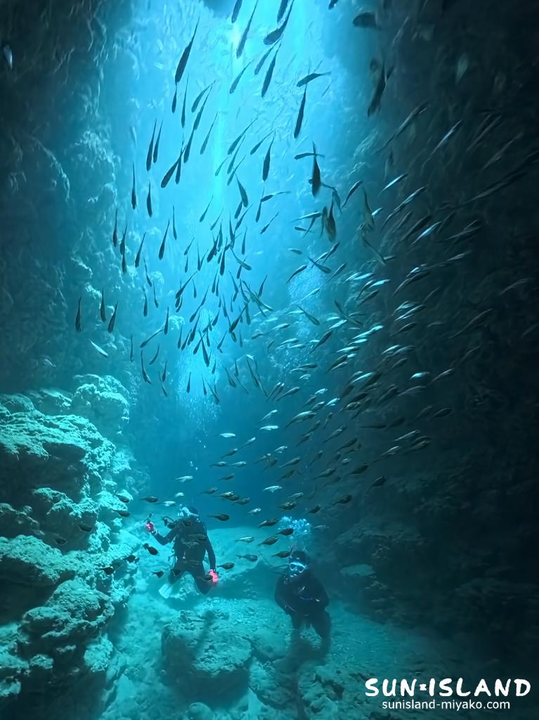 宮古島ダイビング 魔王の宮殿 縦穴 ハタンポ 水中ライト