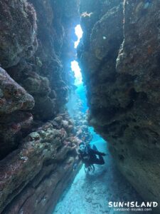 宮古島ダイビング 中性浮力 ブランクダイバー 白鳥チャネル クレパス