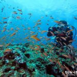 宮古島の透明度抜群な青い海で地形を楽しみながら、完璧な中性浮力で水中に溶け込むように泳ぐダイバー