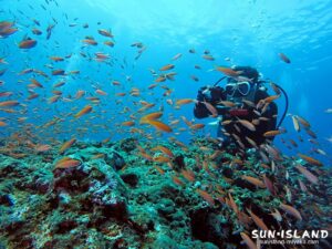 宮古島の透明度抜群な青い海で地形を楽しみながら、完璧な中性浮力で水中に溶け込むように泳ぐダイバー