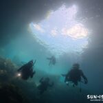 宮古島ダイビング マリンレイク 汽水域 池 3層 色 オーロラ 地形