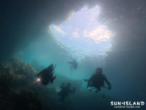 宮古島ダイビング マリンレイク 汽水域 池 3層 色 オーロラ 地形
